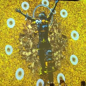 Meet your Posher, D.